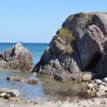 How Bebek Carok Timur Became a Local Favorite